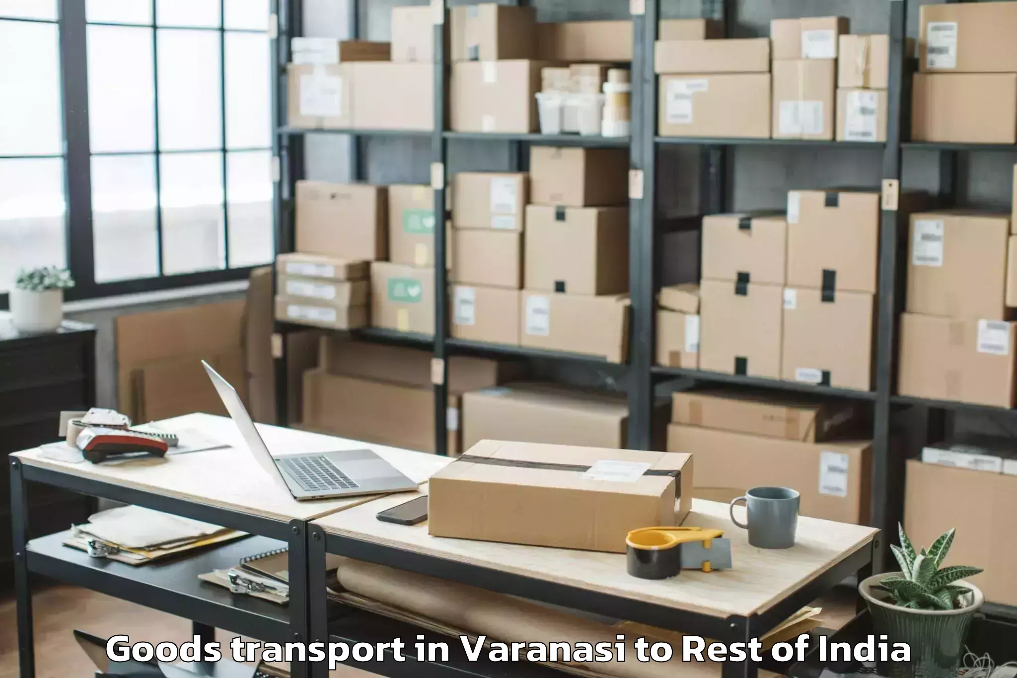 Quality Varanasi to Dantepally Goods Transport